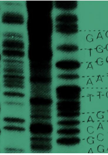 Omslag Microbial Genomics