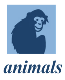 Closing the Stable Door on Strangles: Serological Responses of Vaccinated Horses on a Farm Following the Arrival of a New Horse