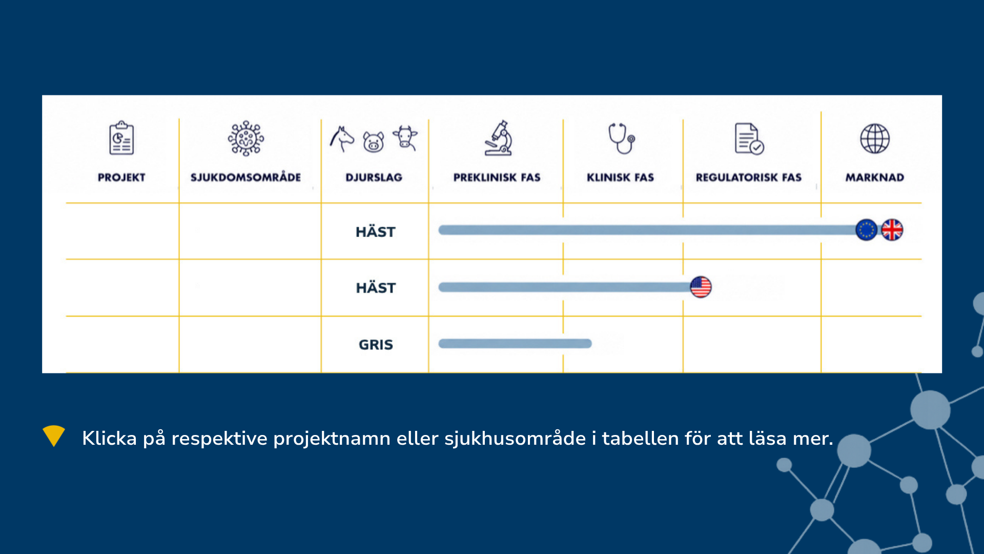 Intervaccs utvecklingspipeline