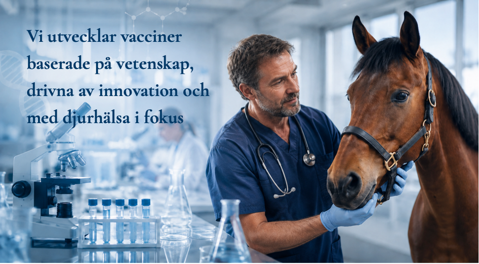 Lab o vet med hero En veterinär står vid en häst, en labbmiljö är i bakgrunden