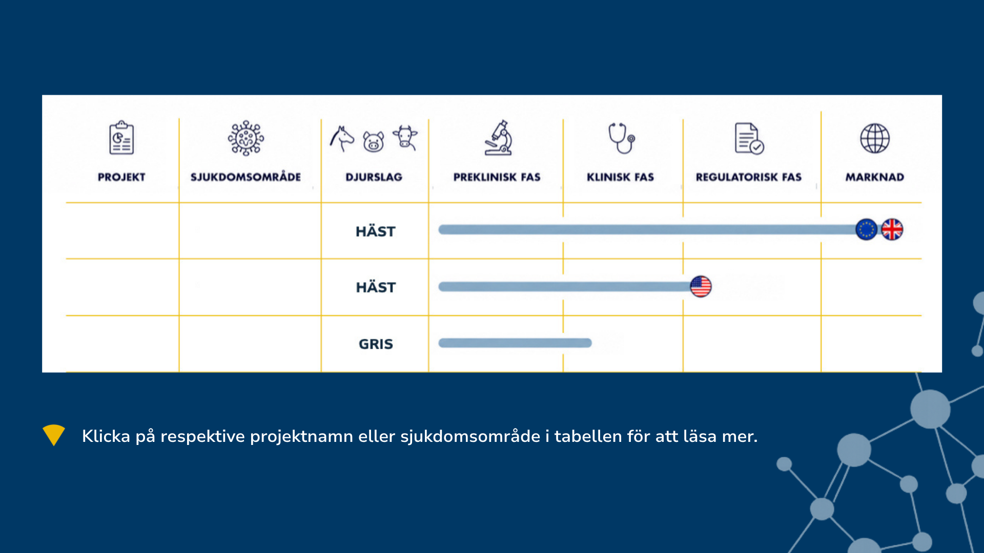 Intervaccs utvecklingspipeline
