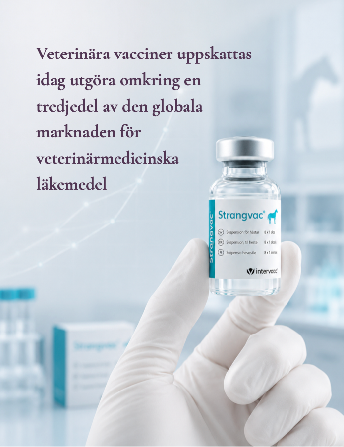Vial i nypa med text En hand håller i en medicinflaska, i bilden finns texten Veterinära vacciner uppskattas idag utgöra omkring en tredjedel av den globala marknaden för veterinärmedicinska läkemedel